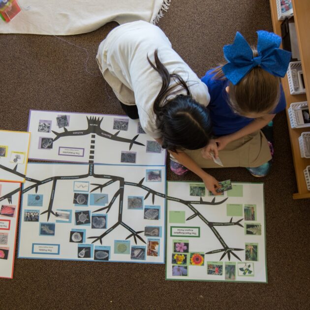 Children learning about plants.